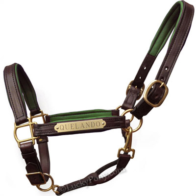 Luxury Padded Leather Halter - Brown with Hunter Green Padding