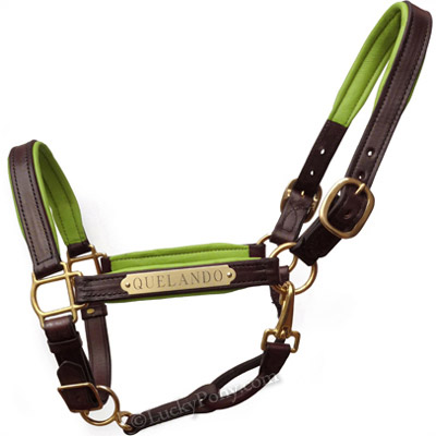 Luxury Padded Leather Horse Halter - Custom Engraved- USA made