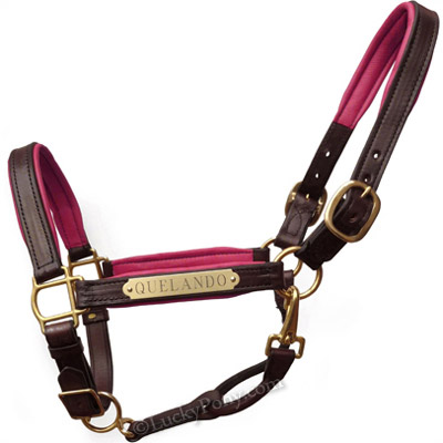 Luxury Padded Leather Halter - Brown with Pink Padding