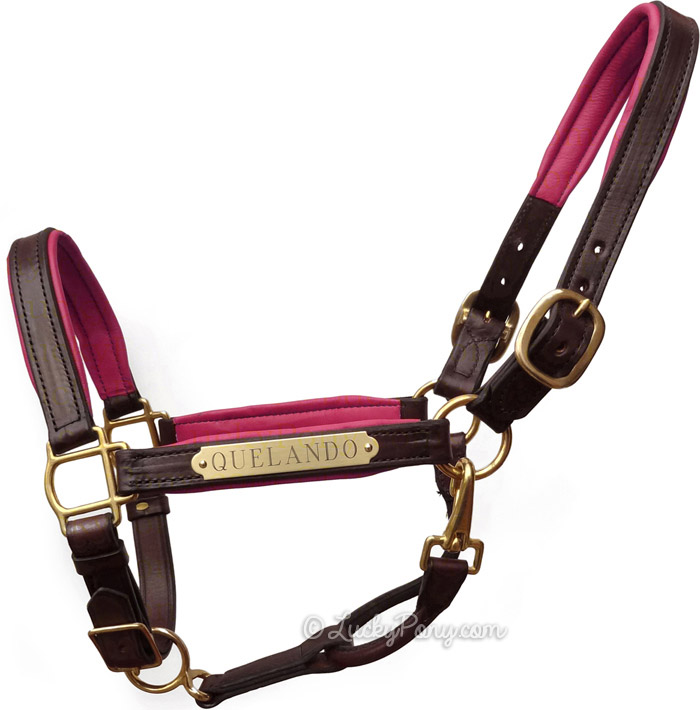 Luxury Padded Leather Halter - Brown with Pink Padding