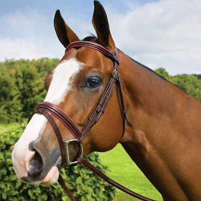 Havana Brown Premium Leather Bridle with Hot Pink Padding