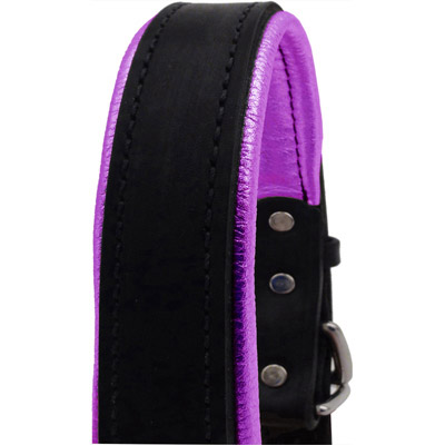 Padded Leather Halter -  Metallic Purple  Padding