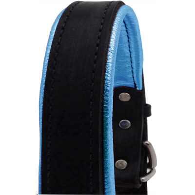 Padded Leather Halter -  Metallic Turquoise Padding