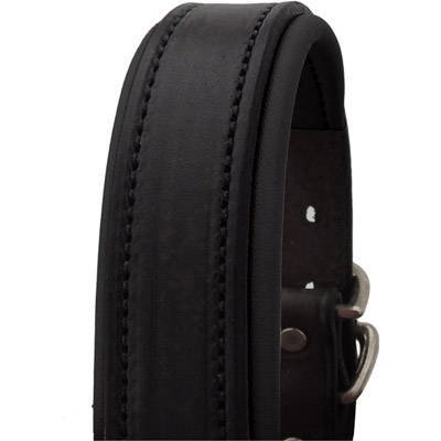 Luxury Padded Leather Halter - Black with Black Padding - Stainless
