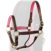 Luxury Padded Leather Halter - Brown with Pink Padding