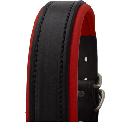 Padded Leather Halter - Black with  Red Lining