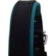 Luxury Padded Leather Halter - Black with Turquoise Padding