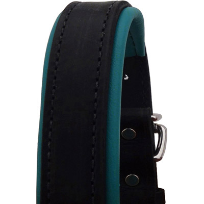 Luxury Padded Leather Halter - Black with Turquoise Padding