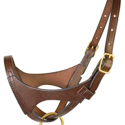 Premium Leather Figure Eight Style Foal Halter- USA made