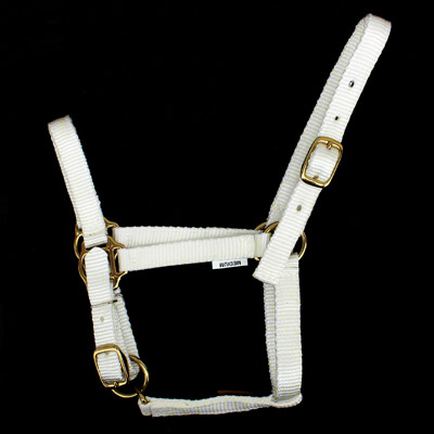 White Mini Horse Halter - Small, Medium, and Large