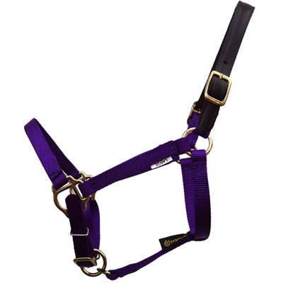 Nylon Mini Horse Safety Halter with leather crown