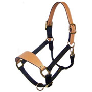 Bronc Adjustable Halter with Leather Nose & Crown - Malleable Iron Hardware