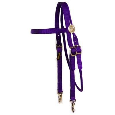 Brow Band Headstall with Rosettes and Buckles