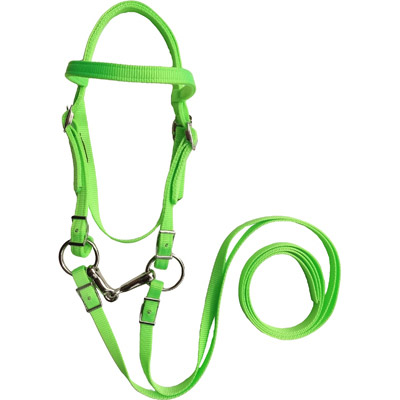 Miniature Horse Size Bridle with Bit & Reins Set