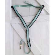 Pastel Mint Green 1.5 inch Wide Nylon Breastcollar