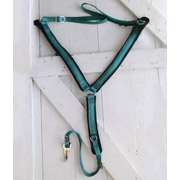 Teal Blue 1.5 inch Wide Nylon Breastcollar