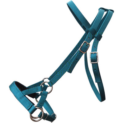 Custom Color Nylon Side Pull with Soft Noseband