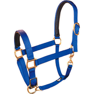 Weatherproof Padded Nylon Horse Halter