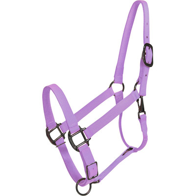 Lilac Purple Horse Halter - USA Made