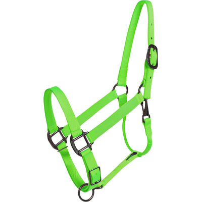 Lime Green Horse Halter - USA Made