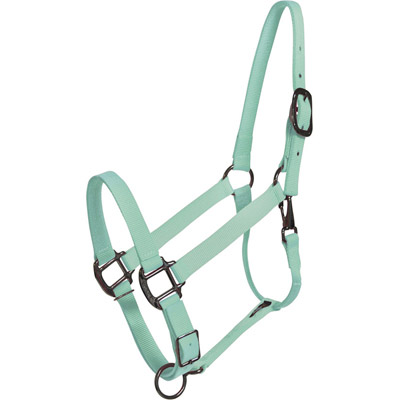 Mint Green Horse Halter - USA Made