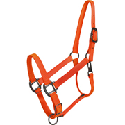 Blaze Orange Horse Halter - USA Made