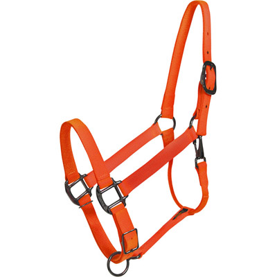 Blaze Orange Horse Halter - USA Made