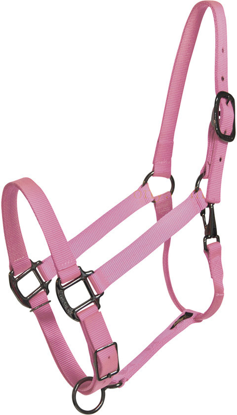 NEW HORSE TACK!!! PINK Nylon Horse Halter With Barbwire Design Overlay 