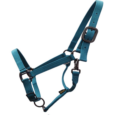 Teal Nylon Horse Halter - USA Made