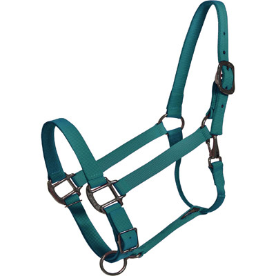 Teal Nylon Horse Halter - USA Made