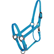Turquoise Horse Halter - USA Made