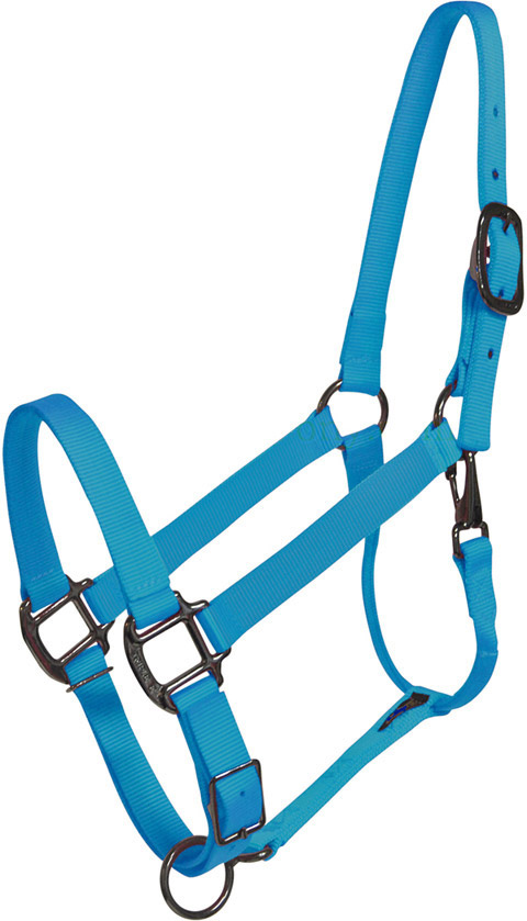 TURQUOISE Nylon Halter & Lead Rope Set New Horse Size Tack 