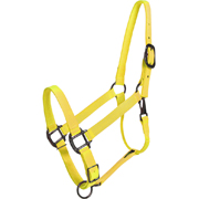 Yellow Horse Halter - USA Made