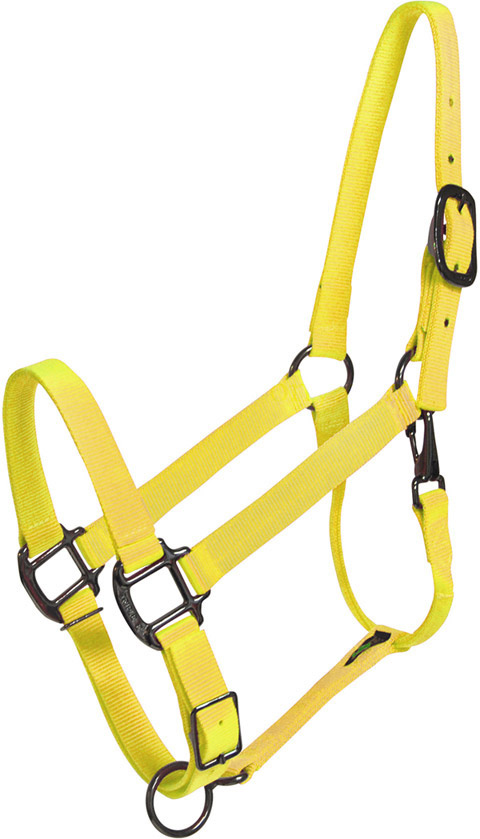 Yellow Horse Halter - USA Made