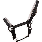 Black Nylon Halter with Black Hardware and White Padding