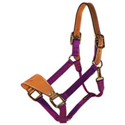Bronc Halter with Leather Nose & Crown - Snap & Malleable Iron Hardware