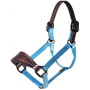 Bronc Halter with Leather Nose & Crown - No Snap - Steel Gray Hardware