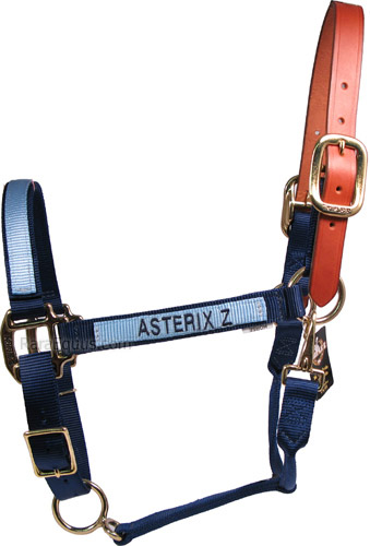 Milageto Cavalo frente única estável frente única pasto Nylon Halter -  Multicolorido, Azul G