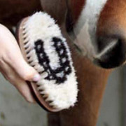 Tail Tamer Wood Handled Horse Grooming Brush Sm Boar Bristle