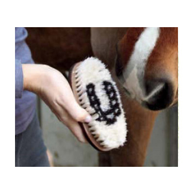 Tail Tamer Wood Handled Horse Grooming Brush Sm Boar Bristle