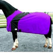 Exselle Prima Blanket- Purple