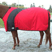 Exselle Prima Horse Blanket - Red with Black