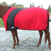 Exselle Prima Horse Blanket - Red with Black