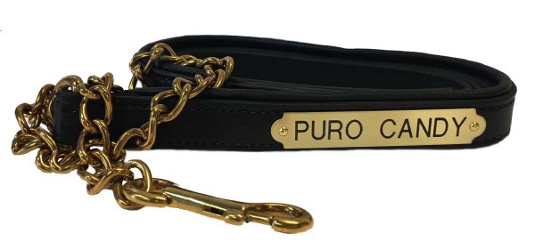 Luxury Padded Leather Horse Lead - Custom Engraved Plate