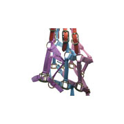 Suckling, Weanling, & Yearling Safety Horse Halter