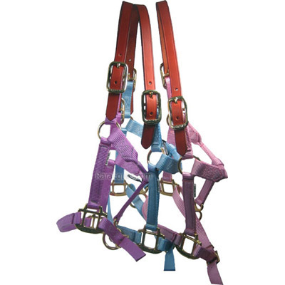 Suckling, Weanling, & Yearling Safety Horse Halter