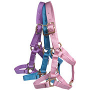 Suckling or Weanling Nylon Halter