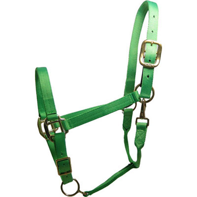 Lime Green Horse Halter - USA Made