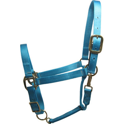 Turquoise Horse Halter - USA Made