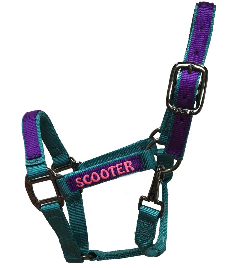  The Ultimate Custom Miniature Horse Nylon Halter